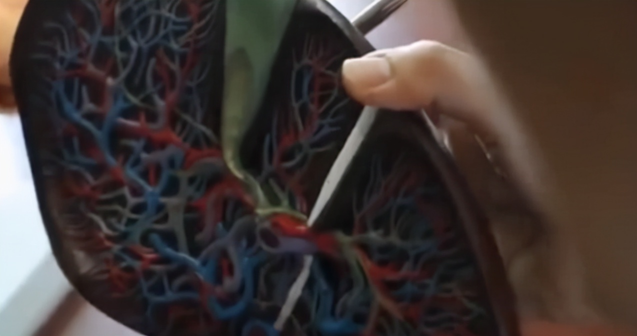 27岁新婚儿子割肝救父后续,河南18岁小伙割肝救父放弃从军