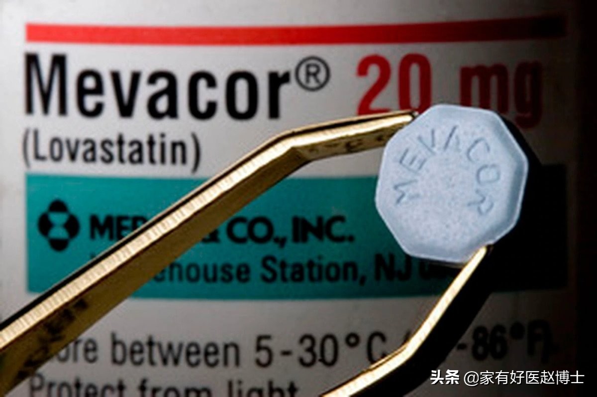 与他汀相同功效的中药,与他汀药效相当的中成药