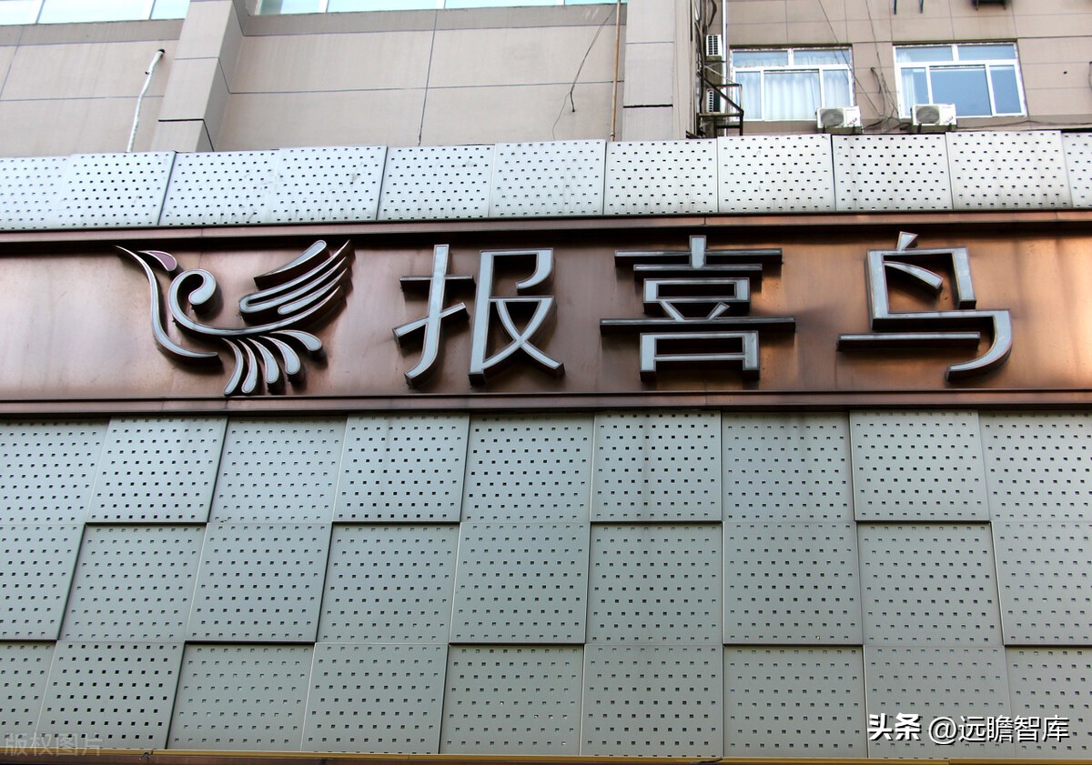 中高端男装领军者，报喜鸟：鸿翔鸾起，不坠青云之志