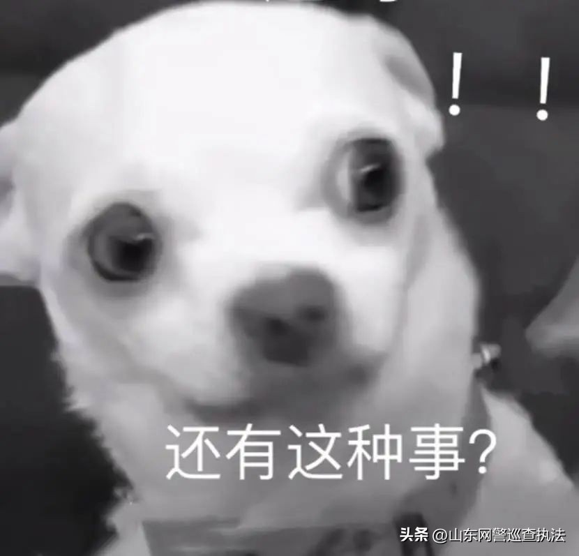 酒店试睡员第三方招募,招募试睡员以后遇到的人