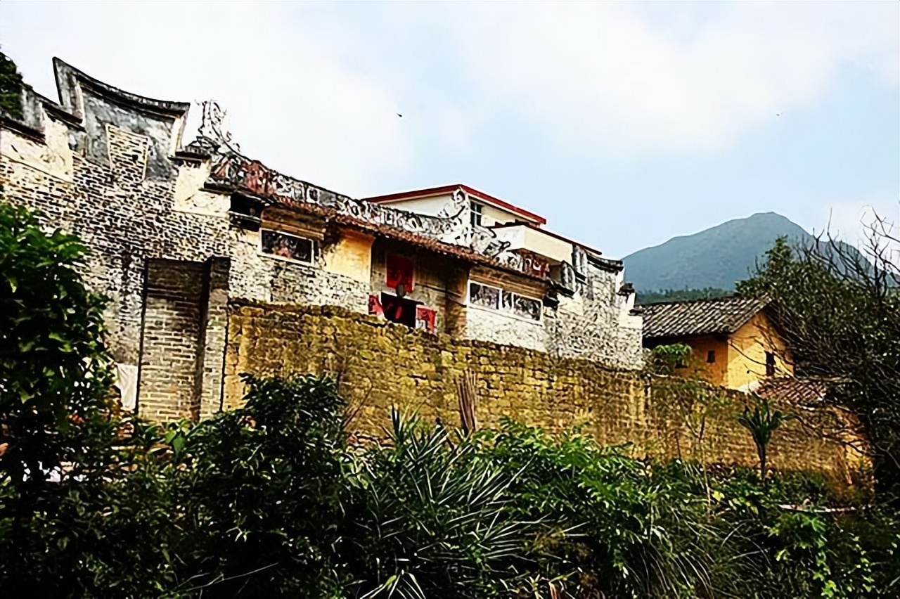 黄皮果树种两年不结果,黄皮苗没嫁接能结果吗