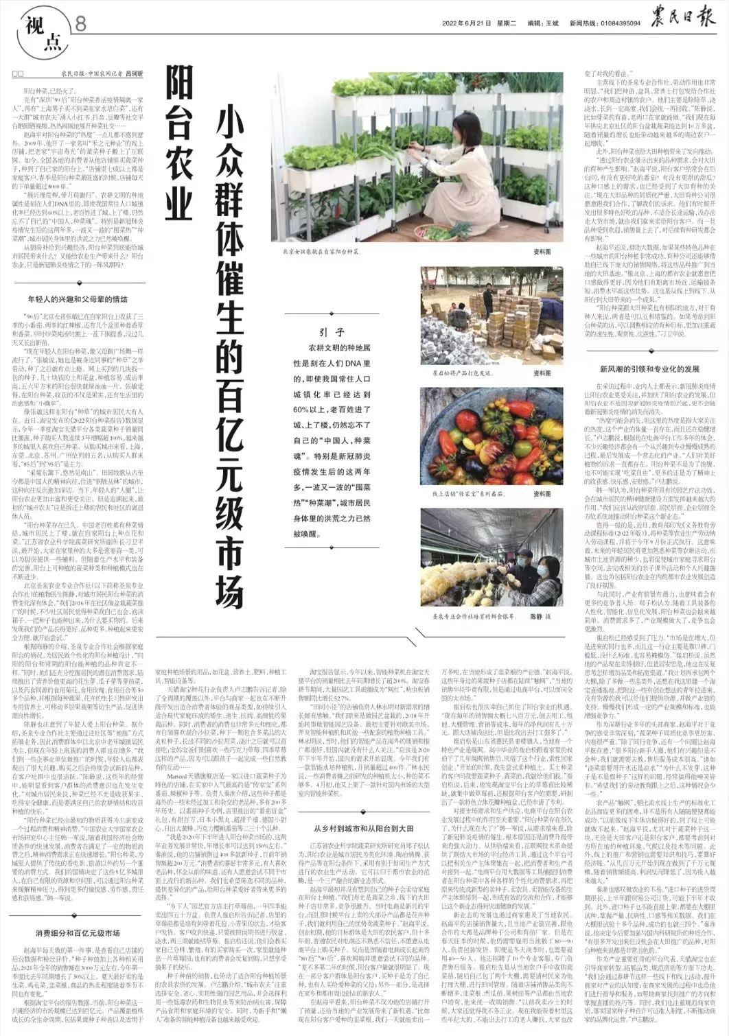 阳台农业产业链,阳台农业最新消息