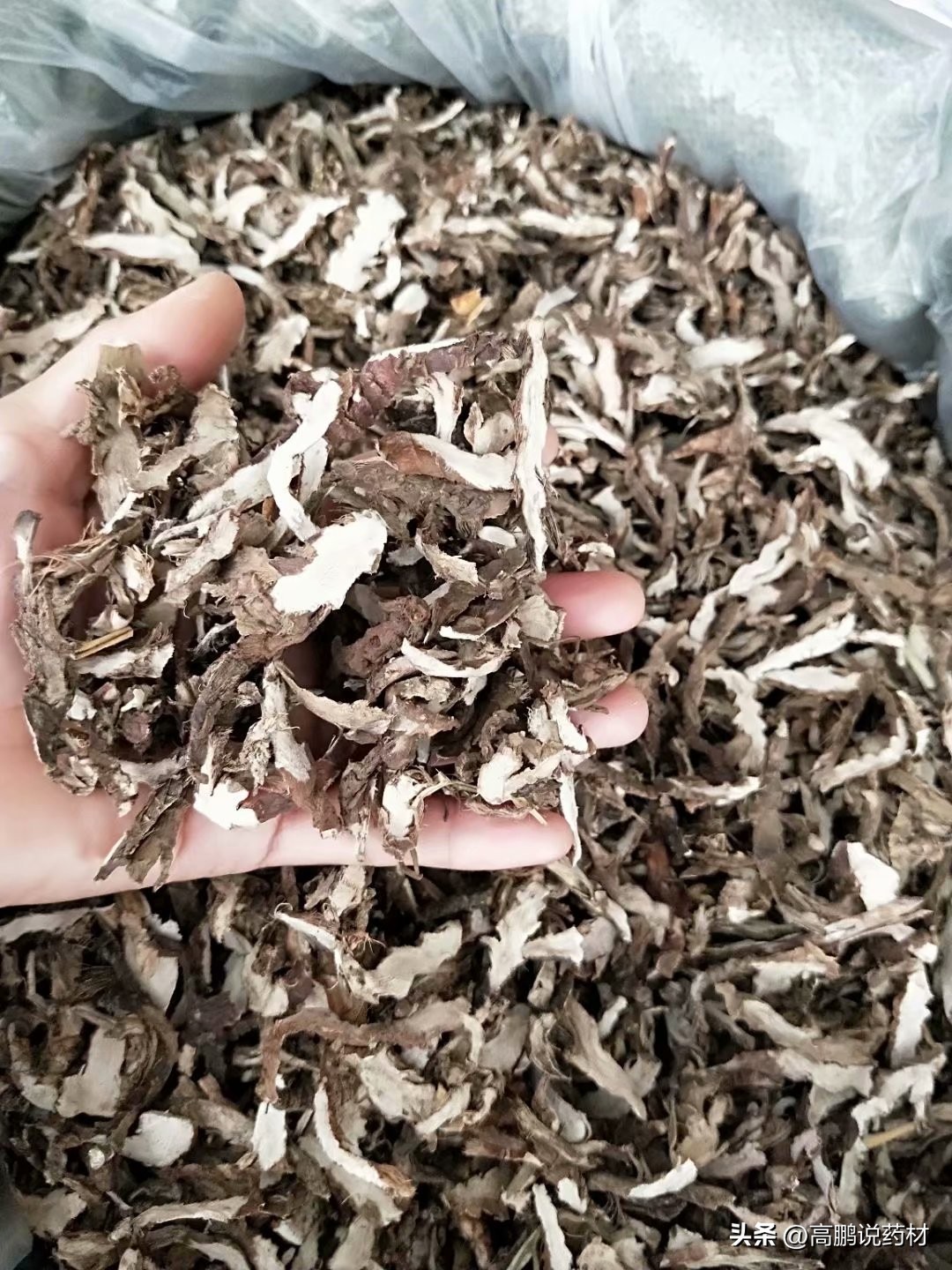 高鹏中药材最新消息,石菖蒲的市场预测