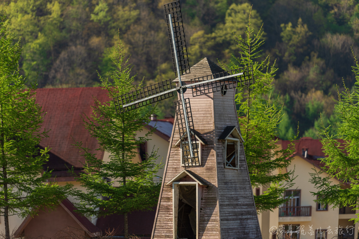 巫溪红叶自驾游,巫溪红池坝云中花海景点讲解