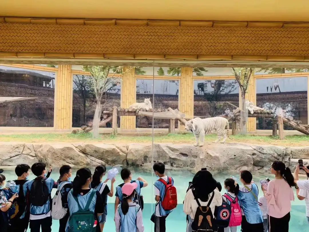 焦作哪里有夏令营,焦作小学生夏令营报名时间