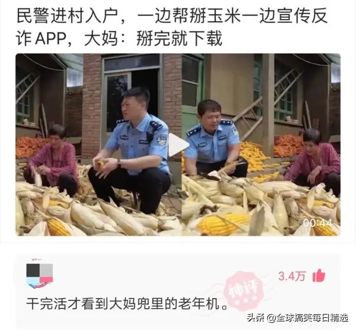 你的岗位还招人吗神回复,问做什么工作怎么神回复