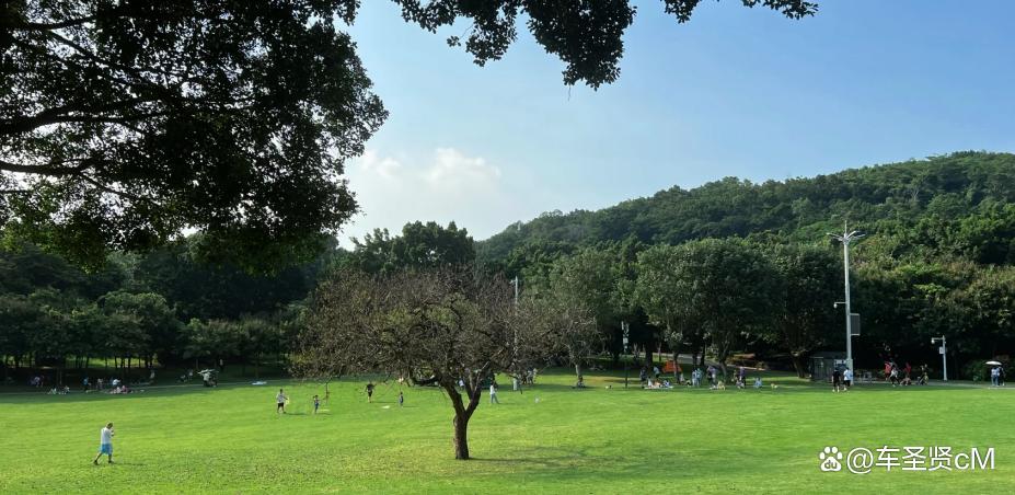 深圳莲花山公园风景,深圳人气最旺的公园