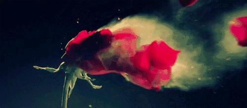 句句戳中肺腑的文案,总有一句文案戳中你的心