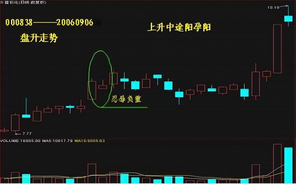 t字型k线图解,24种阳线k线图的经典图解