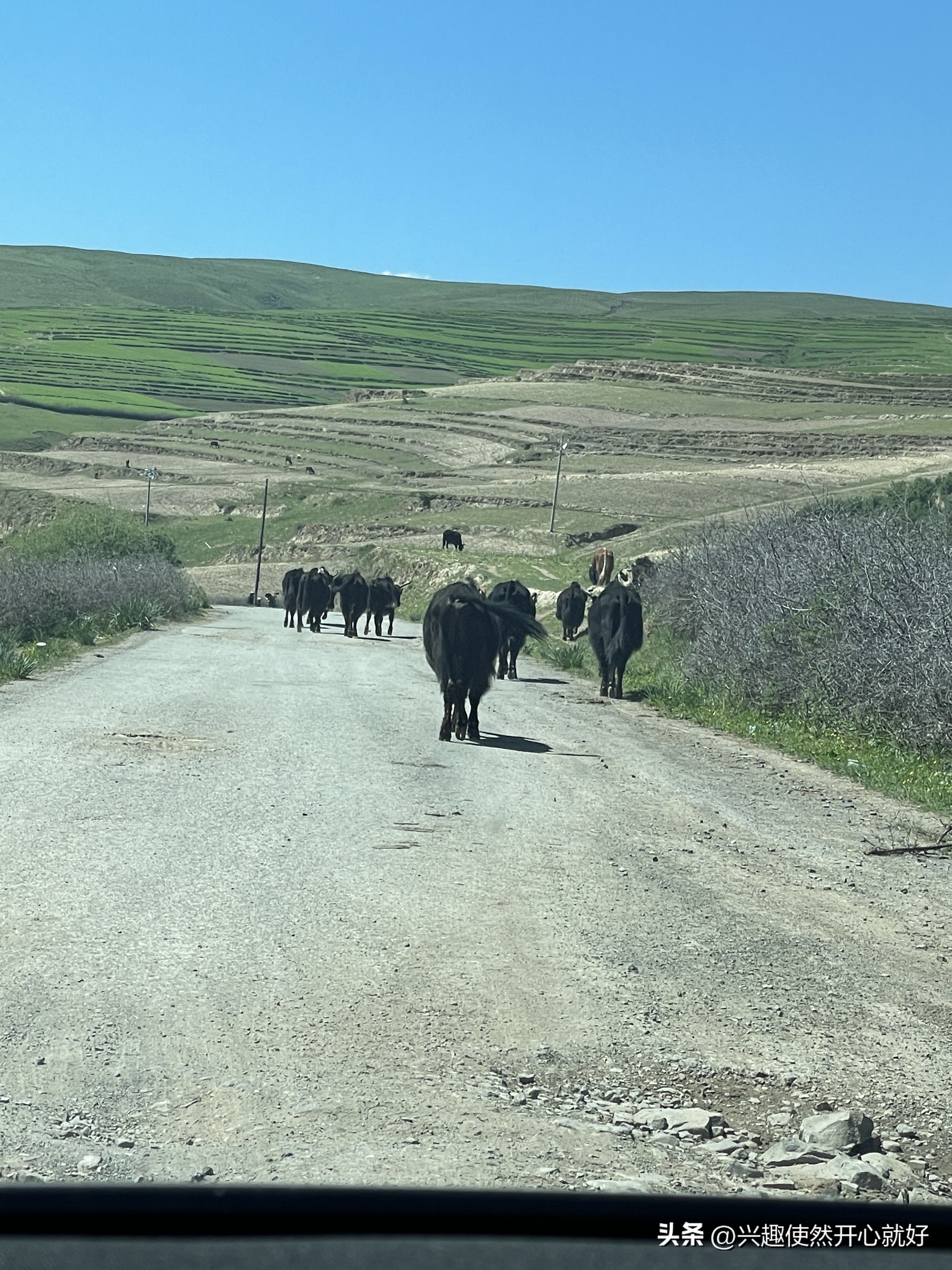 特斯拉穿越洛克之路,特斯拉可以走洛克之路吗