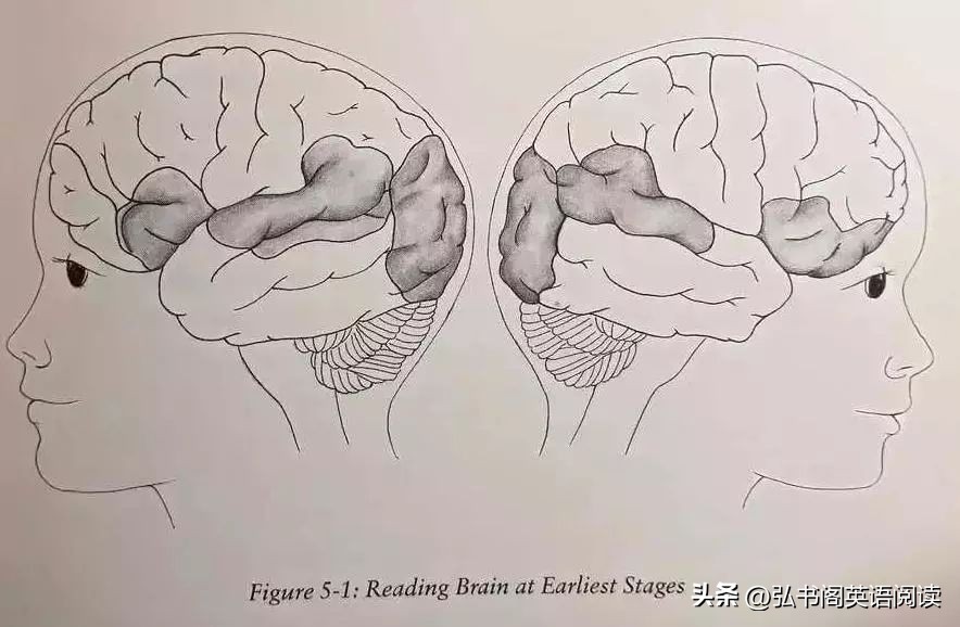 如果你的孩子不努力学习该怎么办,如何正确引导一个不爱读书的孩子