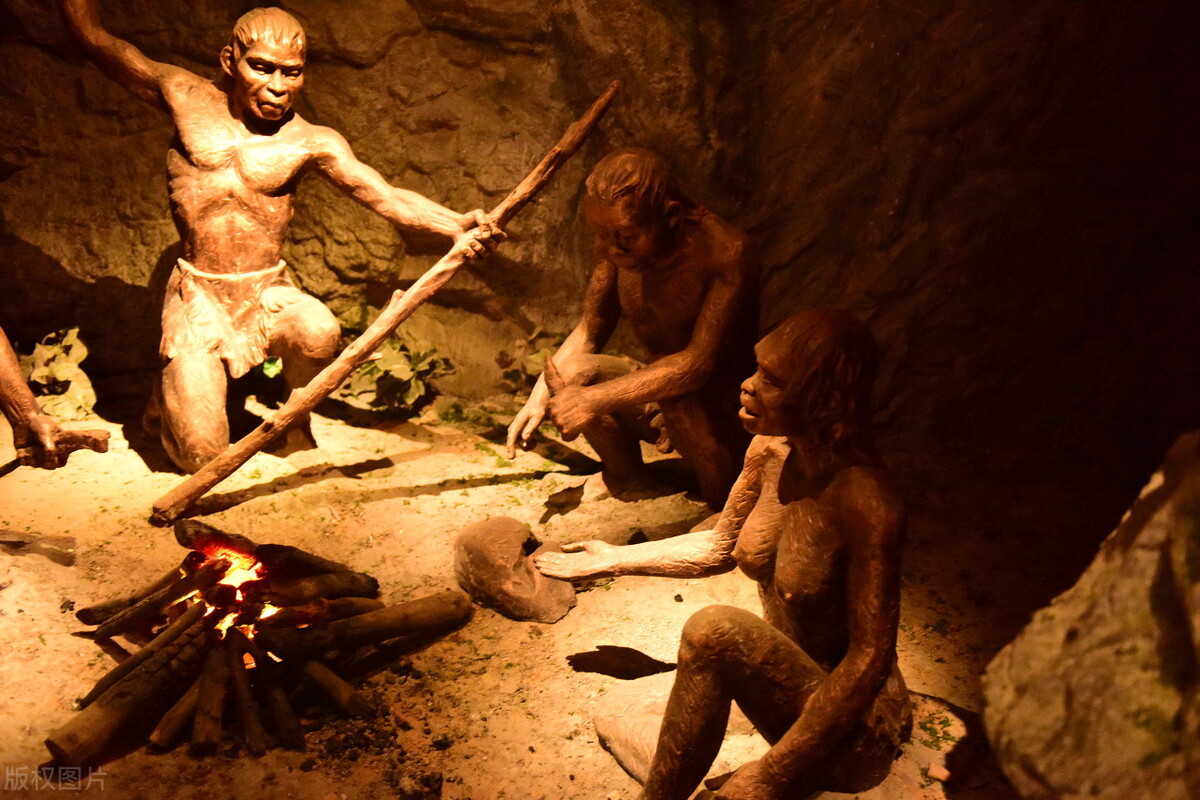 人类寿命最长的段子,人类寿命的真实故事