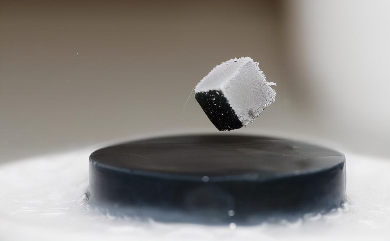 把人放进强磁场中会怎样?科学家用青蛙做实验,得到一只反重力蛙