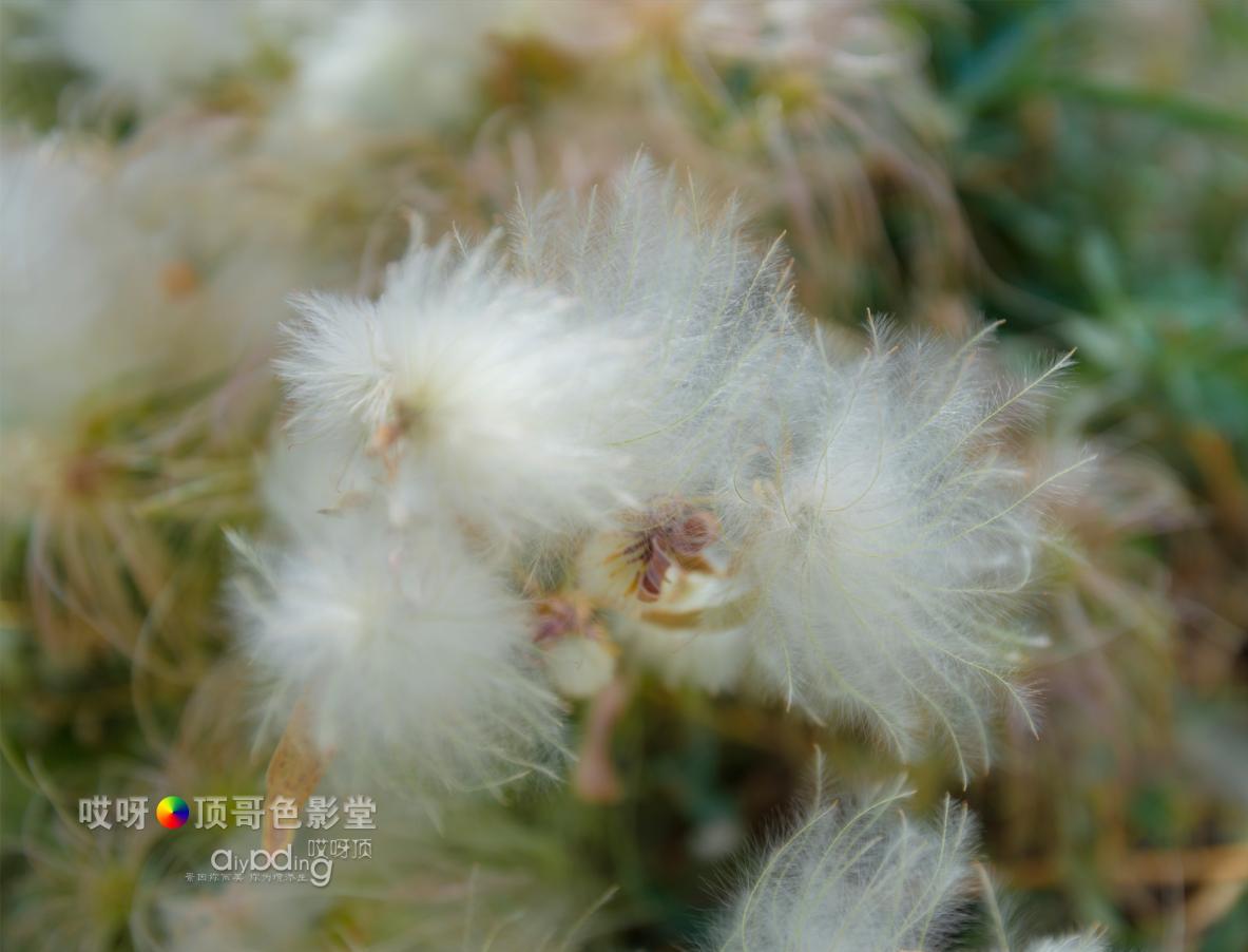 女司机带娃去新疆自驾游,带着女司机自驾游兰州