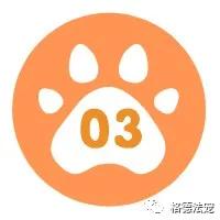 深圳电子犬证怎么办理,深圳在哪里办理养犬登记