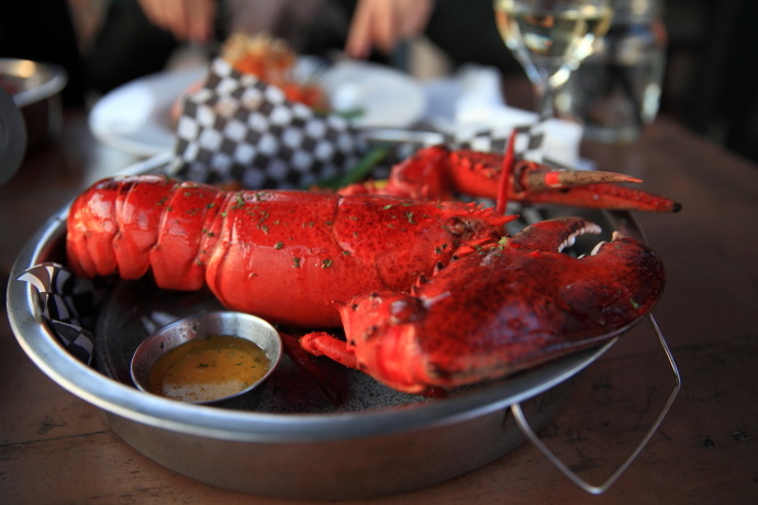 加拿大温哥华岛游记,温哥华维多利亚岛攻略