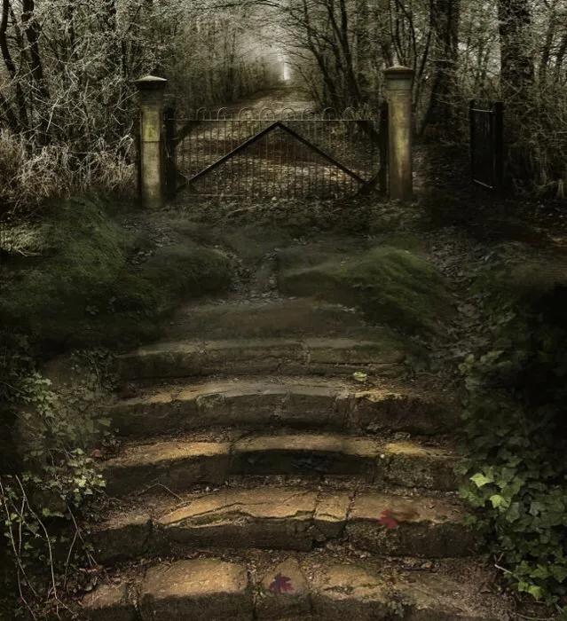 遗失的世界第一部未删减免费观看,遗失的世界下载