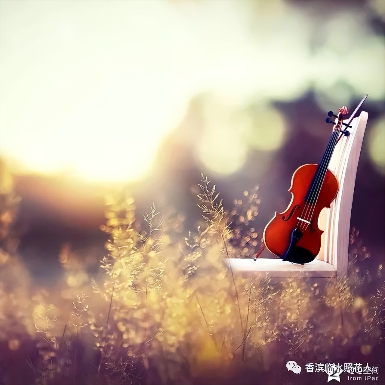 「奋斗成就梦想—初中作文」梁宇彤《美食，让生活更美好》（19）