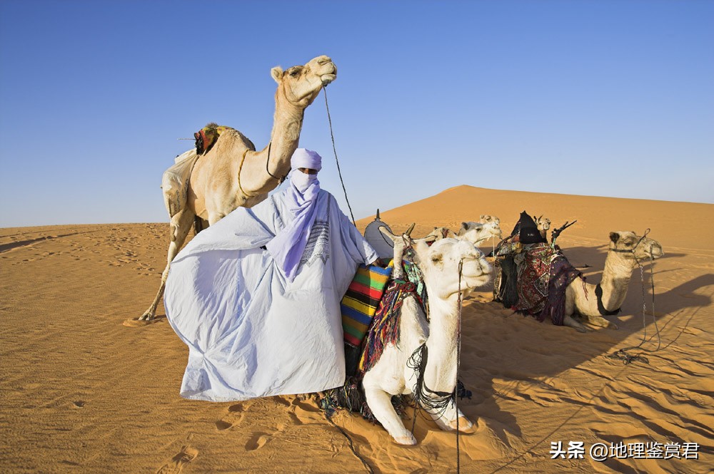 沙特为什么和美国搞基建,沙特把基建给美国了吗