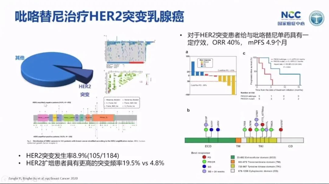乳腺癌攻克,徐兵河乳腺癌晚期生存期