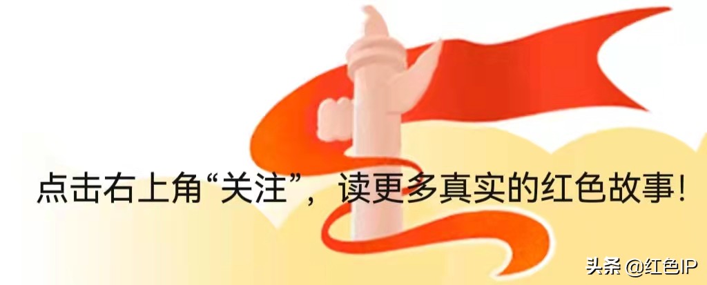 战斗在敌人的心脏电视剧,战斗在敌人的心脏里