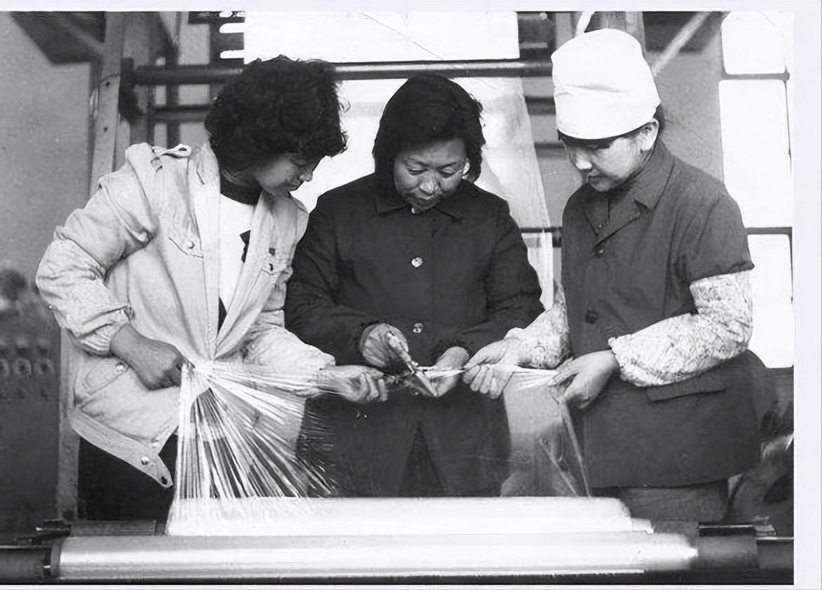 葵花药业创始人,葵花药业发家史