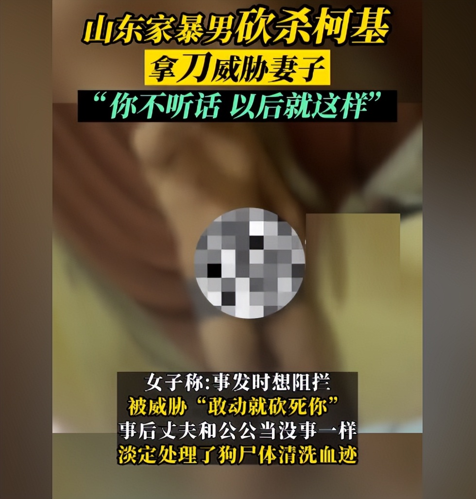 家暴男砍杀柯基威胁妻子,家暴男砍死柯基说不听话