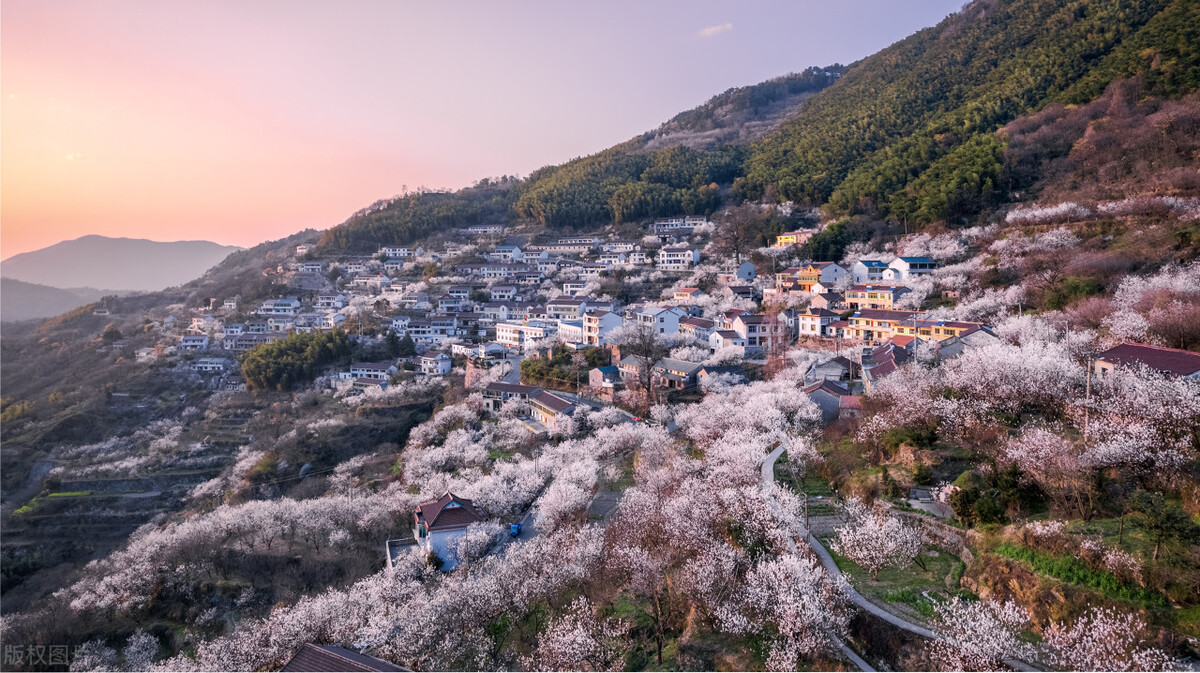 在太湖鼋头渚樱花谷等你,太湖鼋头渚樱花自驾游
