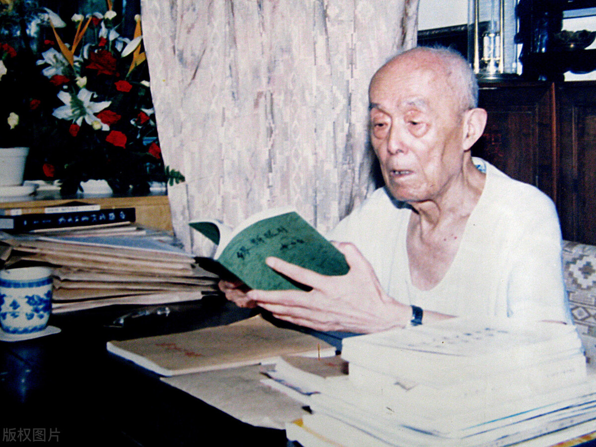 季羡林故居被盗案宣判,季羡林文物被盗审判视频