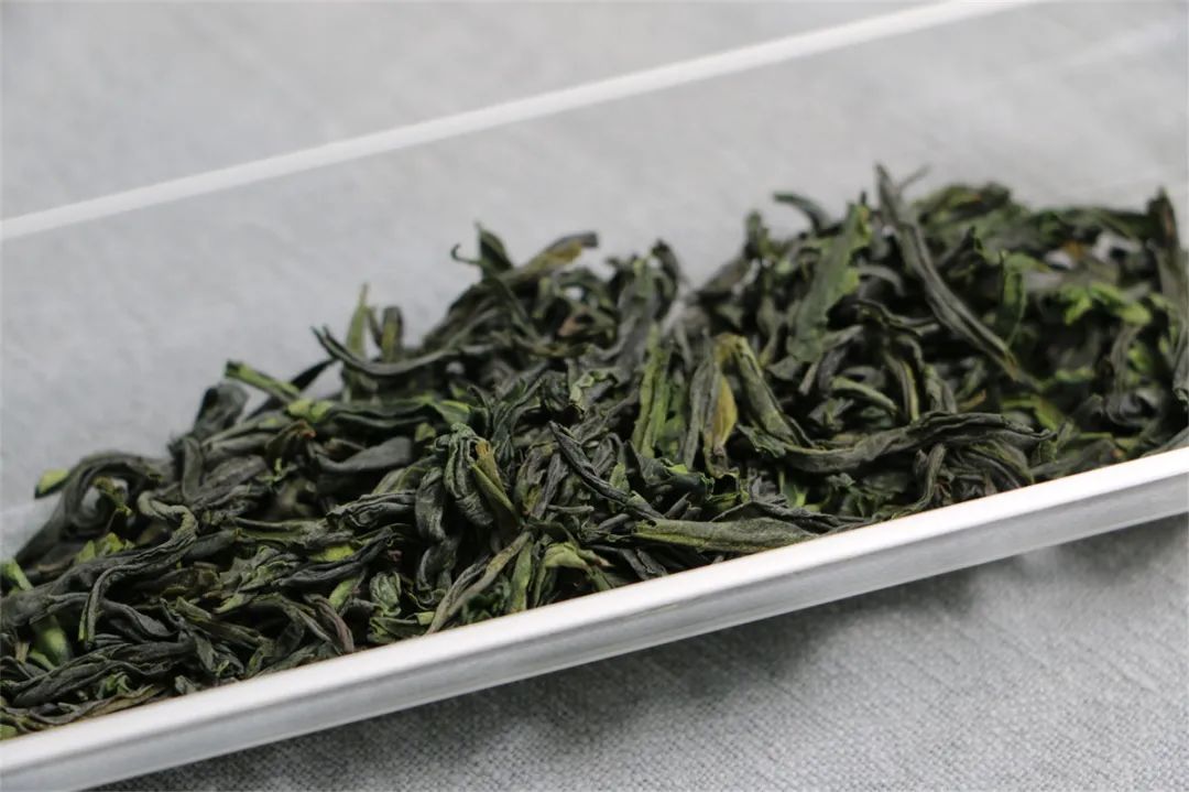 十大名茶中历史最久的,十大名茶的故事简短