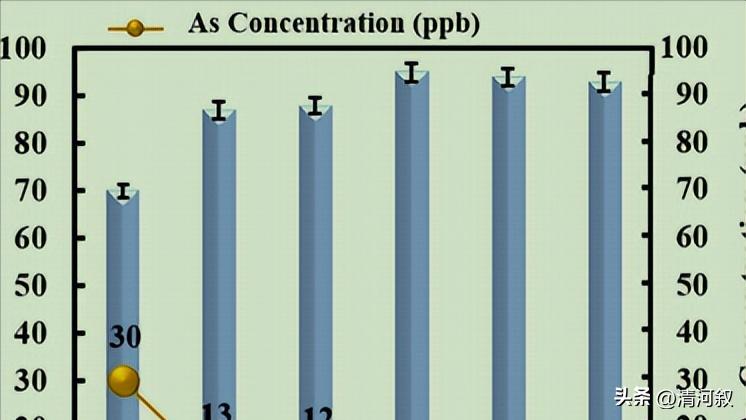 纳米铁粉可以吸附重金属离子,磁铁矿纳米颗粒是什么