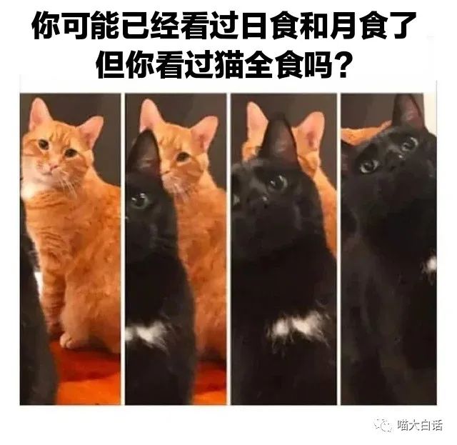 “男票打篮球裤子被队友扒了...”哈哈哈哈救命一整个社死了