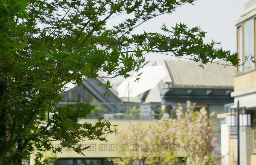 茵香河畔图片,茵香河