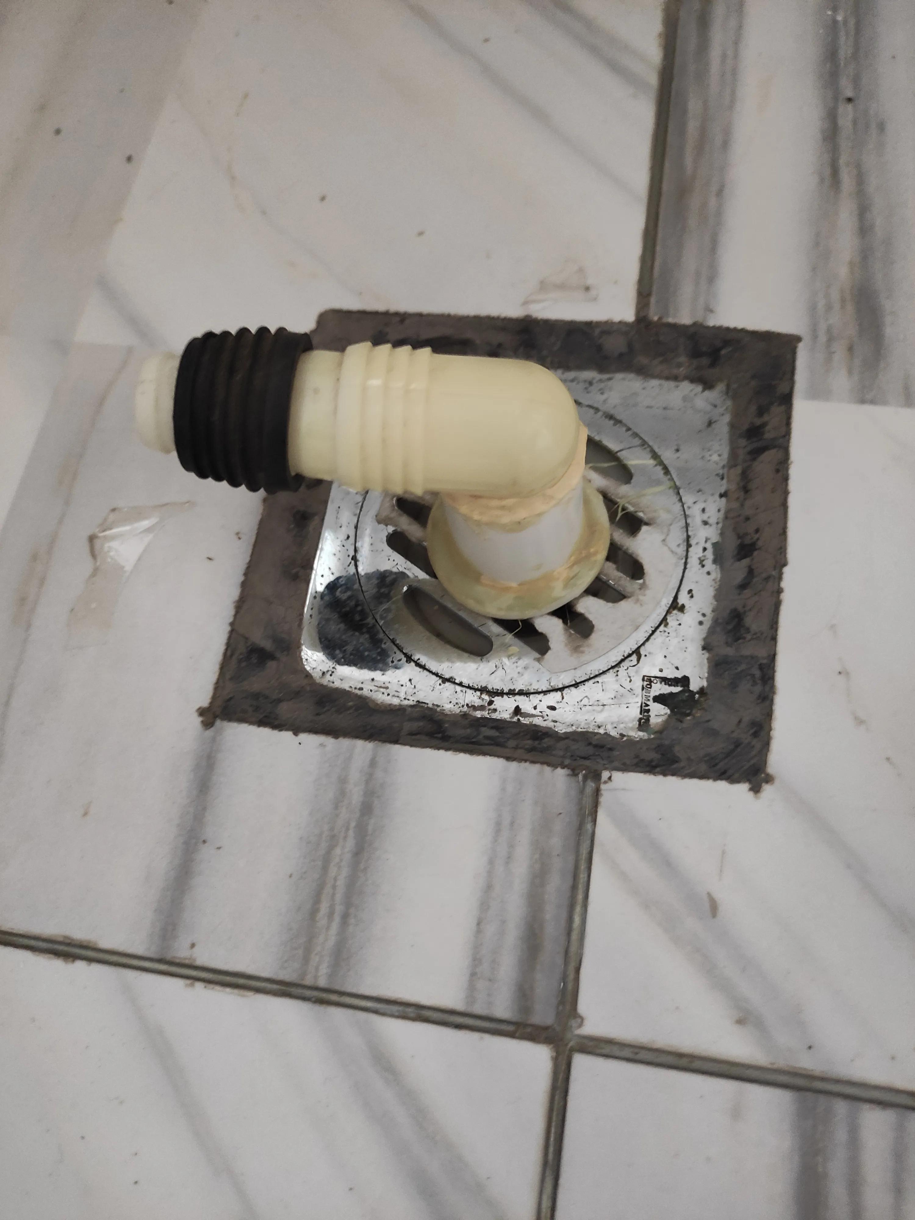 卫生间生小苍蝇怎么去除,卫生间小苍蝇是从哪飞出来的