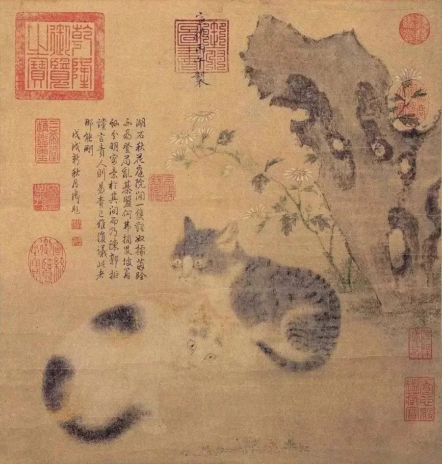 家猫是怎么养成的,晒出家猫的成长史