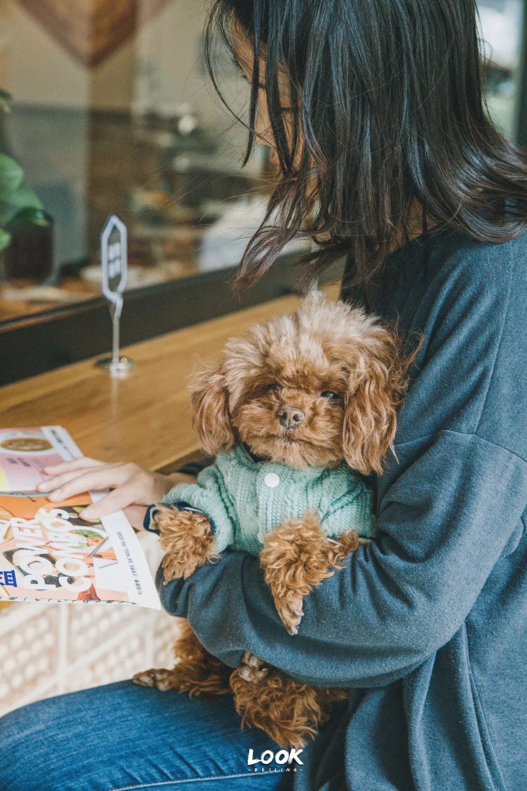 北京哪里有宠物店铺,宠物友好商城北京