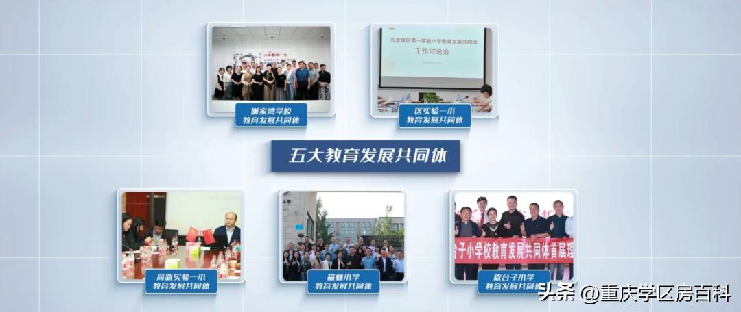 重庆外国语学校近3年大学保送概览