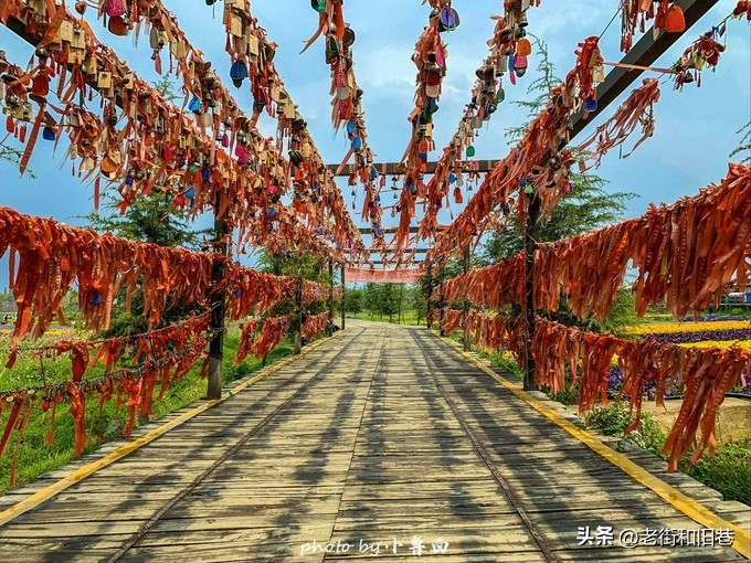 玩转云南自由行,昆明大理丽江6天5晚游多少钱