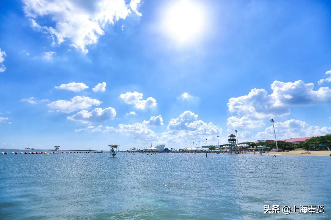 九月的第一天阳光灿烂,九月的第一天有点甜