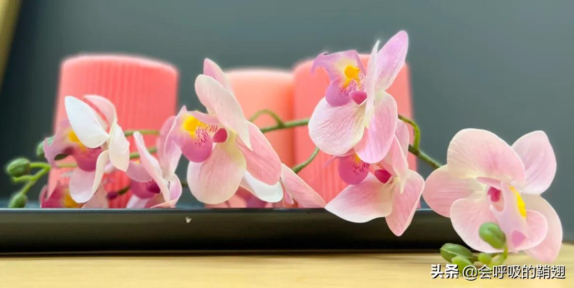 写在重庆宜家8周岁:串联着时光,捎带着回忆