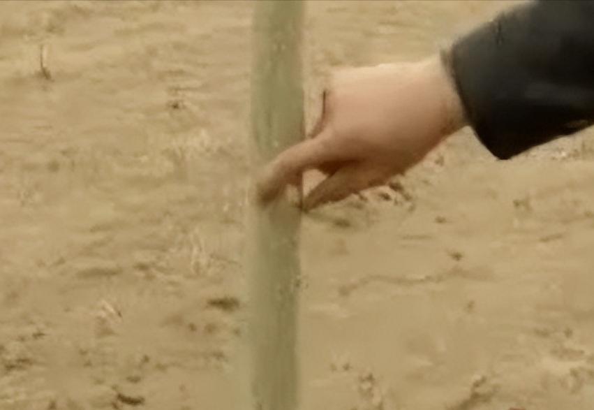 182万买手机靓号，诈骗13亿入狱，万里大造林的*相贵陈**又东山再起