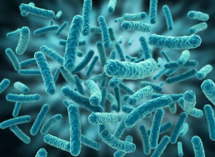 外阴瘙痒的原因外阴炎用什么药,外阴瘙痒是炎症引起的怎么办