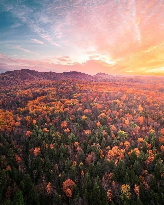 女人如此回你微信，其实，就是不爱你的一种表现