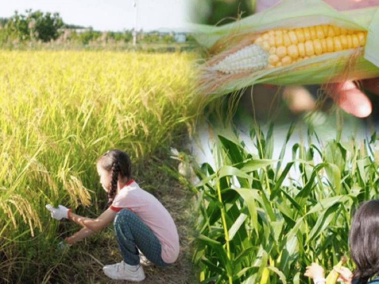 超全北京游玩攻略,国庆京郊一日游