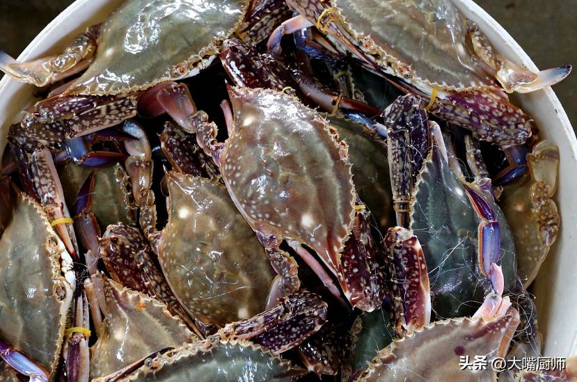 水产市场梭子蟹挑选方法,海鲜市场梭子蟹怎么挑选有肉肥