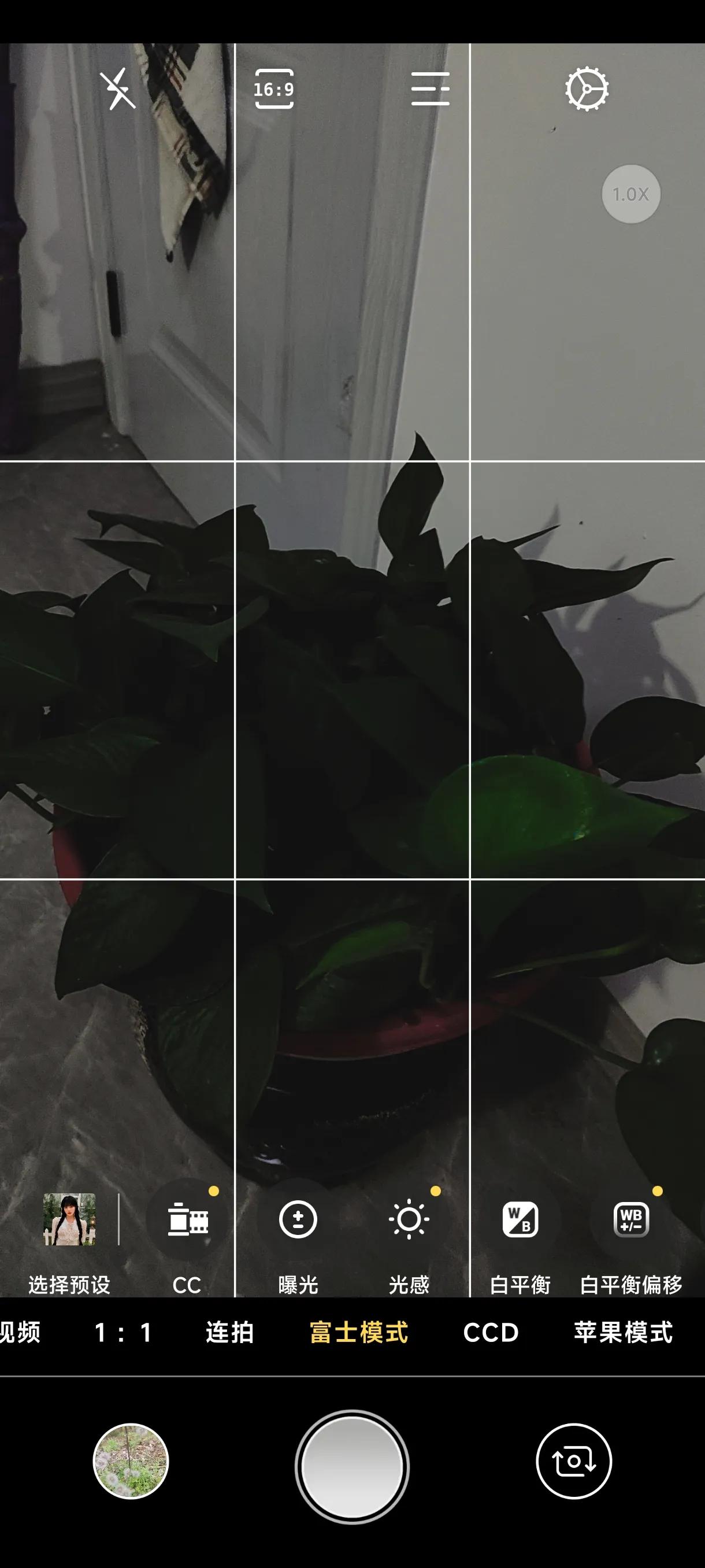 免费拍照翻译软件app下载,可拍照识别植物的免费软件