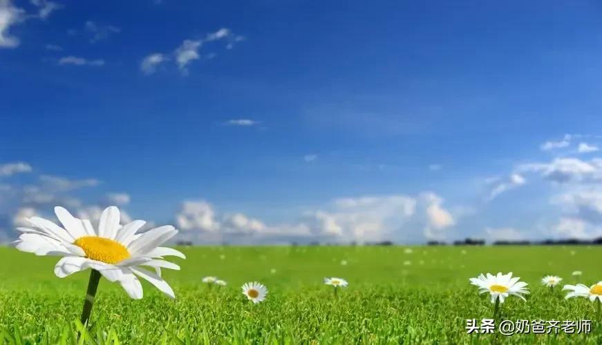 现代春天诗歌大全100首,春天古诗大全100首小学