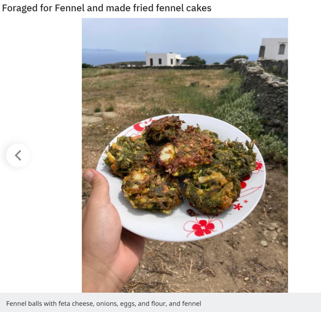 华人美国挖野菜，吃罚单？在纽约是这样挖蕨菜、韭菜、荠菜的