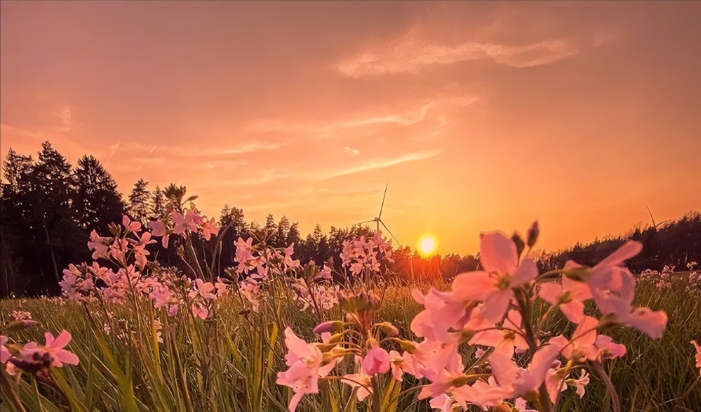 半裙穿搭参考,一件下身半裙搞定多种风格穿搭