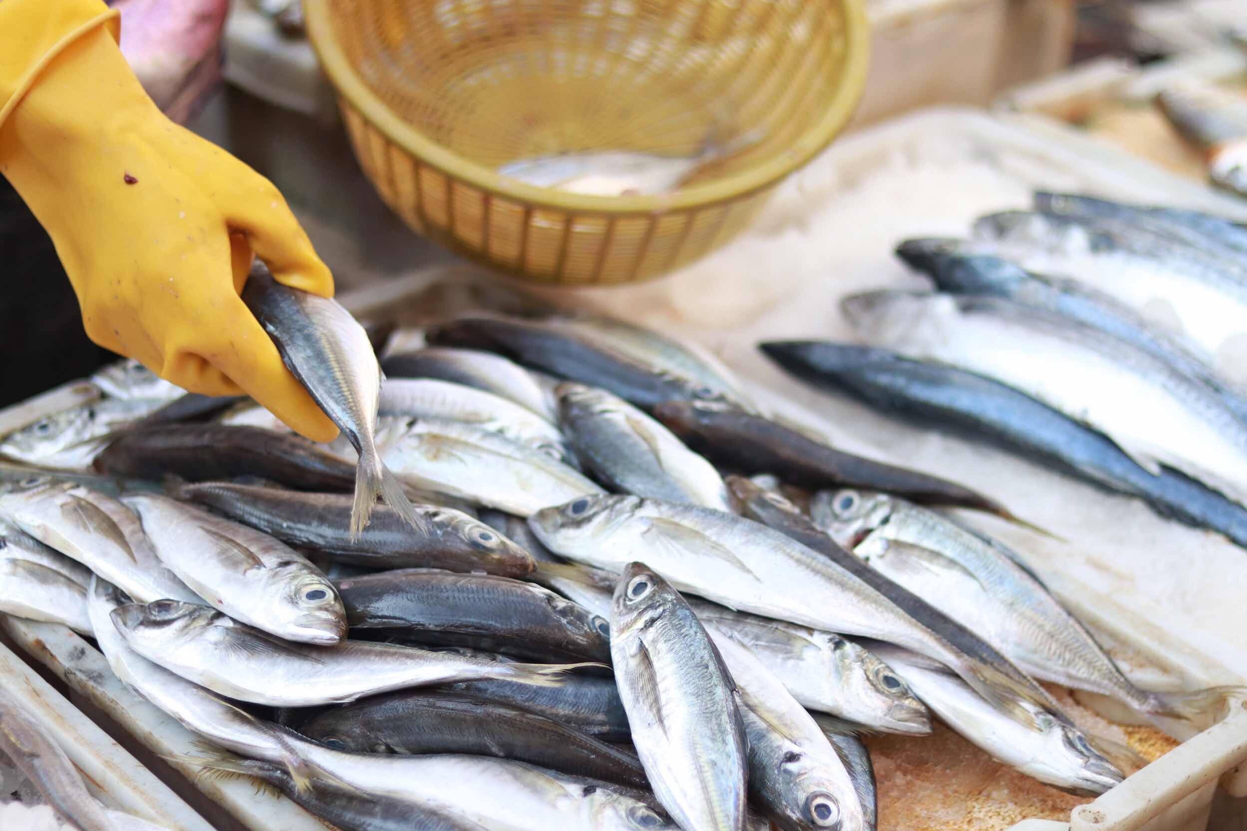 2023年饮食注意事项,2023年不能吃的东西